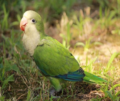 Adn Photographies, Photographe à Saint-Germain-du-Bois
