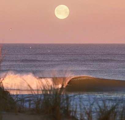 Adrien Lahaye - Photographe & Illustrateur, Photographe à Saint-Georges-de-Didonne