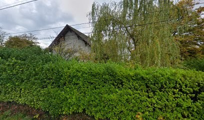 Compagnon Michel, Photographe à Excenevex