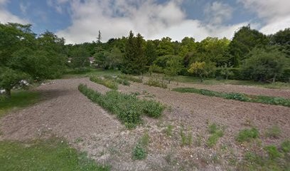 RS Drone, Développement de Photos à Nuits-Saint-Georges