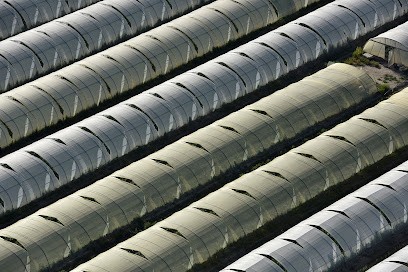 Agence Caméléon Photographie & Vidéo, Développement de Photos à Arles