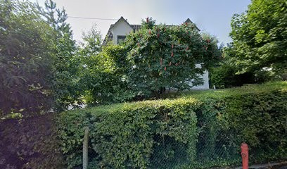 Humov, Photographe à Haegen