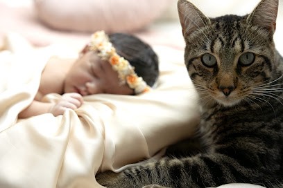 Emilie marie photographie (photographe bébé, grossesse) Essonne, Photographe à Ollainville