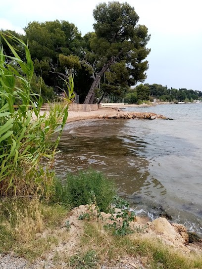 Point Photo, Photographe à La Destrousse