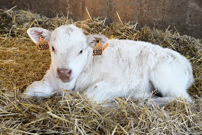 Jenny M. Photographie Photographe Vendée, Photographe à La Chaize-le-Vicomte
