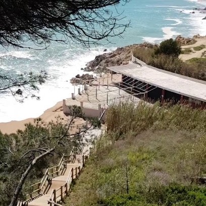 BM Photo, Photographe à Gennevilliers