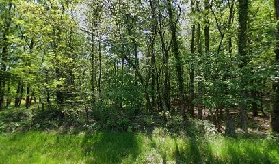 Photographe Delassise Anthony, Photographe à Gimel-les-Cascades