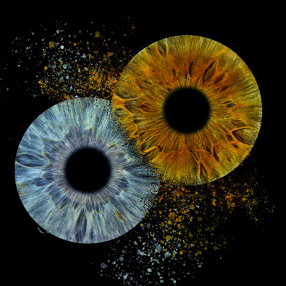 You & Eye Photo Reims Photographie D'iris Photographe à Reims