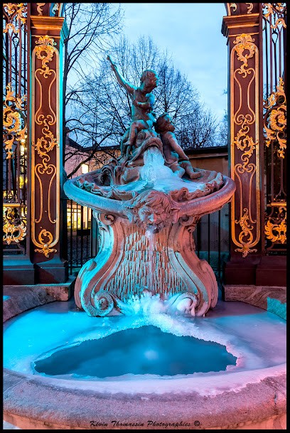 Kevin Thomassin Photographies - Photographe à Nancy, Photographe à Réméréville