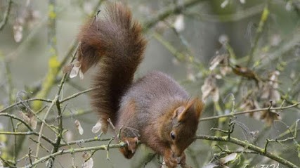 IMAGIN' Et VOUS, Développement de Photos à Montrichard Val de Cher