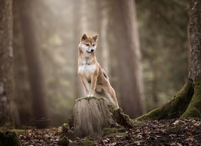 Télia Bieber Photographie, Photographe à Saint-Sylvestre-sur-Lot