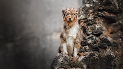 Pauline Même Photographie, Photographe à Azay-sur-Cher