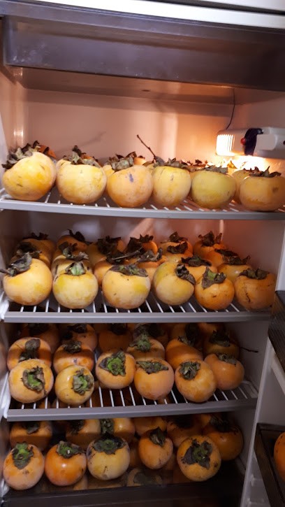 Nomine Philippe, Photographe à Iteuil