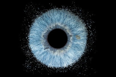 Iris Capture France, Photographe à Biarritz