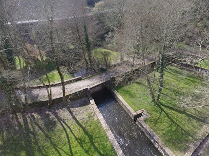 TOUT PAR DRONE, Photographe à Saint-Didier