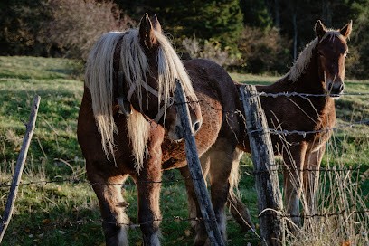 Le Studio 7, Photographe à Grand'Combe-Châteleu