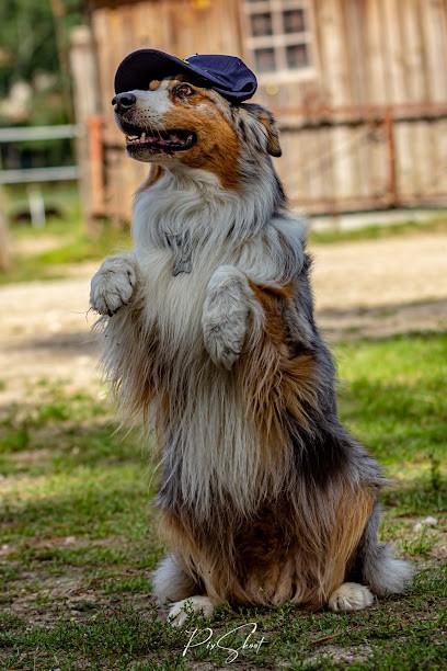 Pixshoot, Photographe à Saint-Médard-en-Jalles