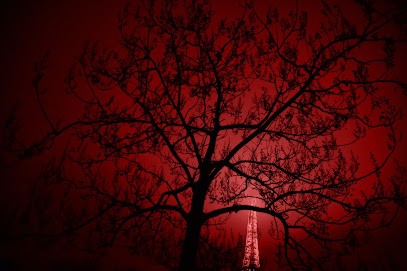 Agence Félicité, production de photographies commerciales, Photographe à Paris 12