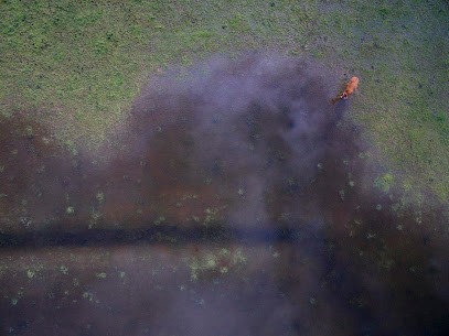 SAS KOLORDRONE, Développement de Photos à Pierre-Buffière