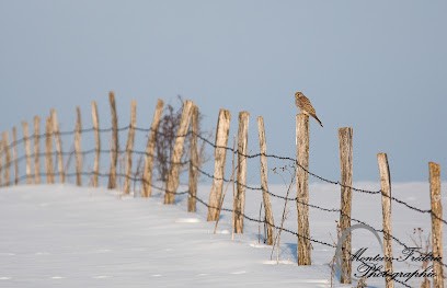 Monteiro Frederic, Photographe à Frasne