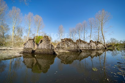 Michel Paradinas, Photographe à La Boissière-en-Gâtine
