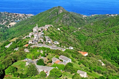 Prophotocorse, Photographe à San-Martino-di-Lota