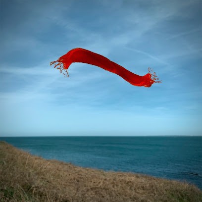 Helene Vallas, Photographe à Villejuif