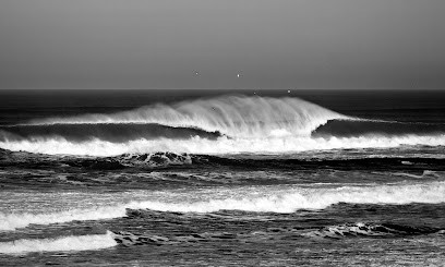 Image'art Photographe Seignosse, Photographe à Seignosse