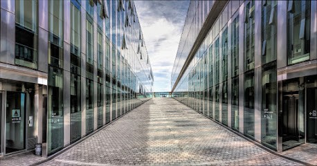 ANTEALE Photographe Professionnel A Lille, Photographe à Halluin