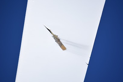 Visiondrone, Photographe à Feuquières-en-Vimeu