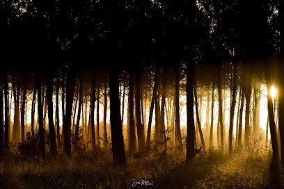 Mathieu Dabo Photographie, Photographe à Mugron