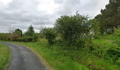 Dronenvue, Développement de Photos à Gans