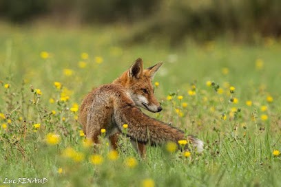 Photographe - RENAUD Luc, Photographe à Pierrelatte