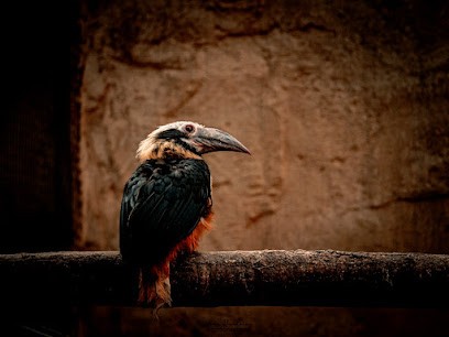 Michaël Dieudonné Photographe, Photographe à Lasseube