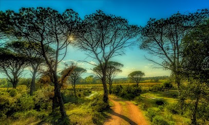 Fabien Licata Photographe, Photographe à Pignans