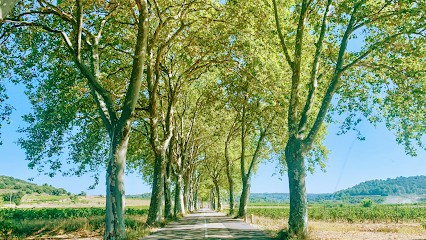 Serge Uzan Photographe, Photographe à Marseille 08