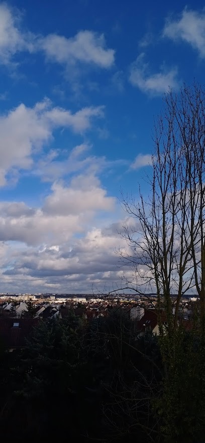 Atelier Fresson, Développement de Photos à Savigny-sur-Orge