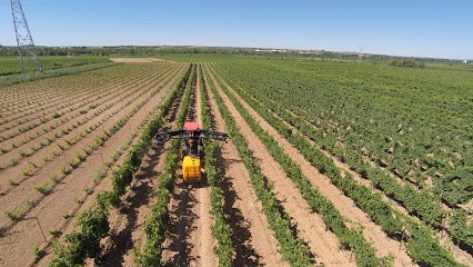 DRONE INSPECTION, Photographe à Sauvian