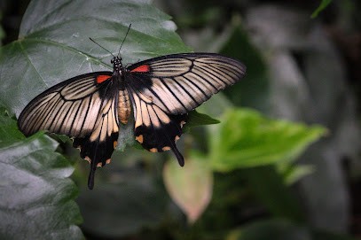 Juli3n Photographie, Photographe à Marolles-les-Buis