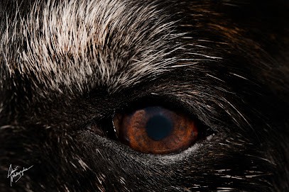 Avenir Photographie, Photographe à Bayecourt