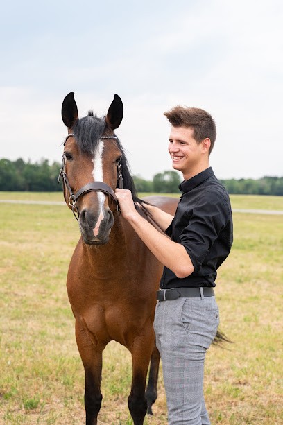 Brin de Souvenirs Photographe, Photographe à Laviron