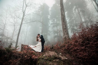 Grimm Manuel Photographe - Minikitty, Photographe à Niedermodern