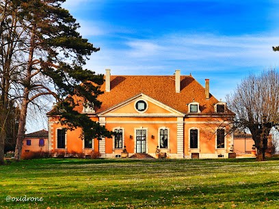 Oxidrone - Pilote De Drone, Photographe à Verzé