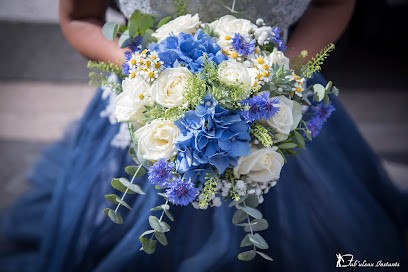 Fab'uleux Instants - Fabien WIDEHEM - Photographe, Photographe à Villers-en-Cauchies