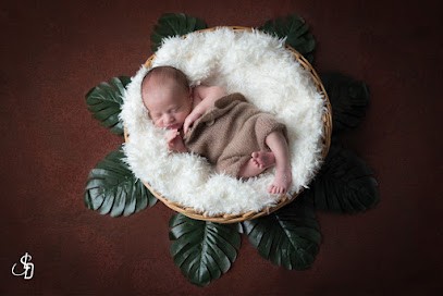Sarah Lecornu Dudouit Photographe, Photographe à Mézidon Vallée d'Auge