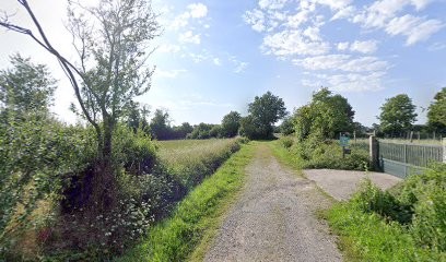 Alain Baron Photographe, Photographe à Saint-Sulpice-des-Landes