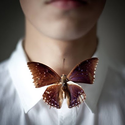 Emmanuelle Brisson Photographies, Photographe à Niort