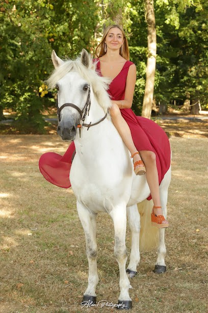 Alan's Photography, Photographe à Warnécourt