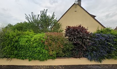 Camille Boutoux, Photographe à Quincy-Voisins