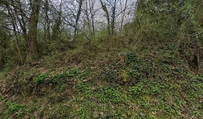 MARIAGES86, Photographe à Beaumont Saint-Cyr